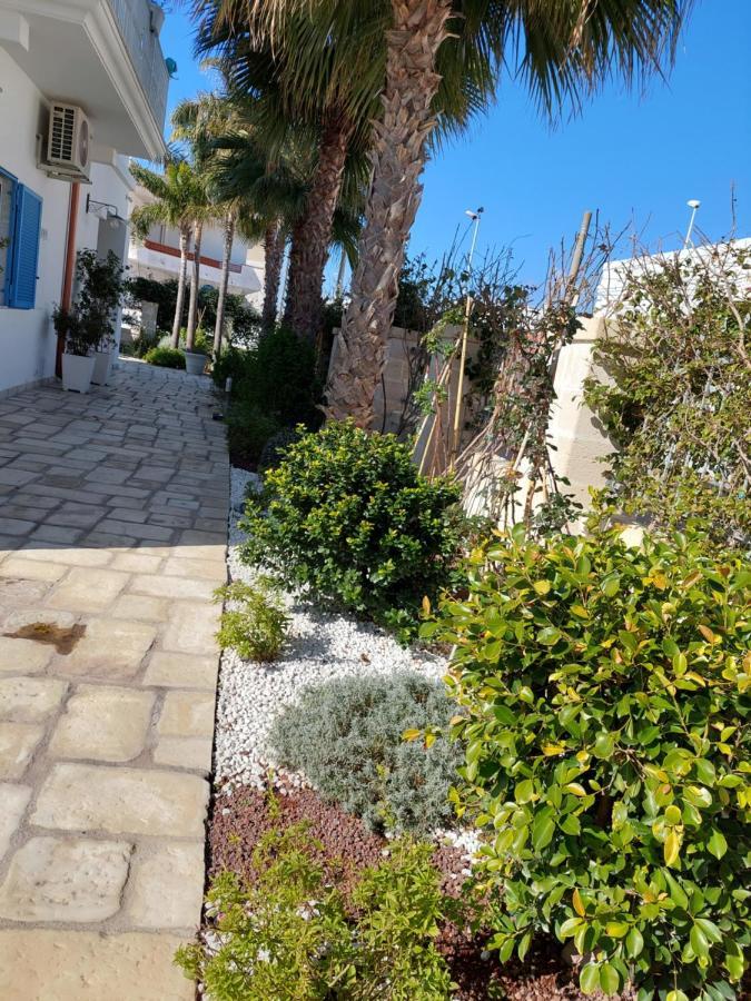 B&B La Colimena トッレ・コリメナ エクステリア 写真